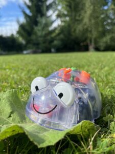 Avaleht Blue-Bot põrandarobot